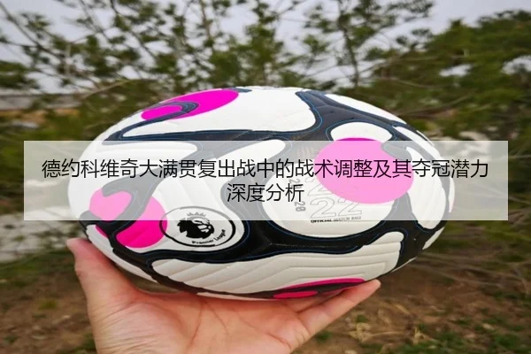 德约科维奇大满贯复出战中的战术调整及其夺冠潜力深度分析